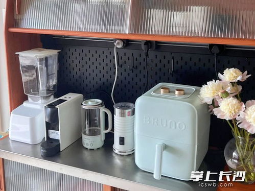 买得多用得少 小家电真香还是鸡肋 家用电器